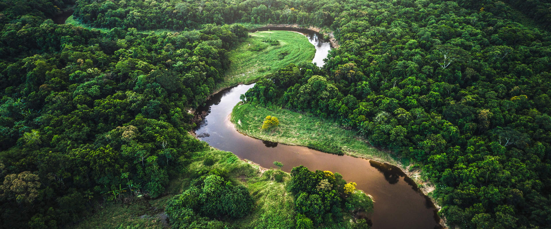 river winding through a forest